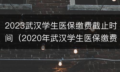 2023武汉学生医保缴费截止时间（2020年武汉学生医保缴费标准）