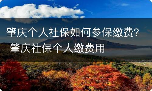 肇庆个人社保如何参保缴费？ 肇庆社保个人缴费用