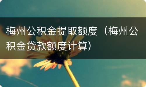 梅州公积金提取额度（梅州公积金贷款额度计算）