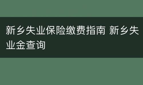 新乡失业保险缴费指南 新乡失业金查询