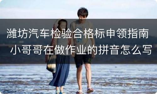 潍坊汽车检验合格标申领指南 小哥哥在做作业的拼音怎么写