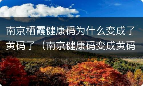 南京栖霞健康码为什么变成了黄码了（南京健康码变成黄码怎么办）