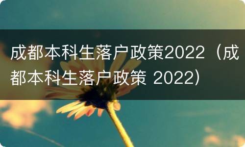 成都本科生落户政策2022（成都本科生落户政策 2022）
