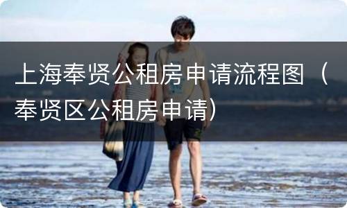 上海奉贤公租房申请流程图（奉贤区公租房申请）
