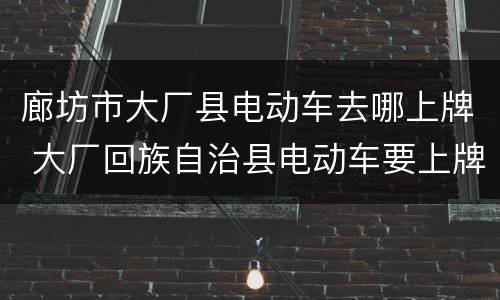 廊坊市大厂县电动车去哪上牌 大厂回族自治县电动车要上牌子吗