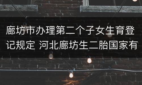 廊坊市办理第二个子女生育登记规定 河北廊坊生二胎国家有补助吗