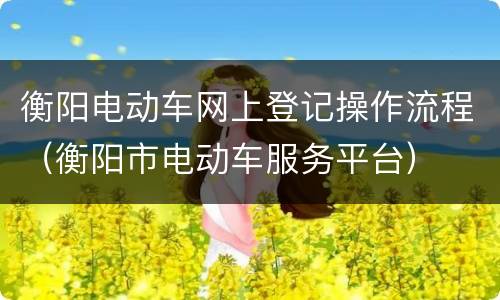 衡阳电动车网上登记操作流程（衡阳市电动车服务平台）