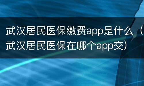 武汉居民医保缴费app是什么（武汉居民医保在哪个app交）