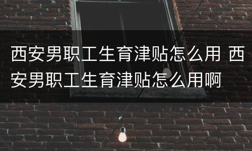 西安男职工生育津贴怎么用 西安男职工生育津贴怎么用啊