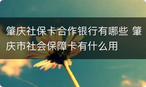 肇庆社保卡合作银行有哪些 肇庆市社会保障卡有什么用