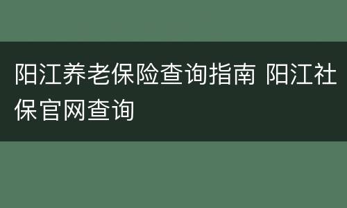 阳江养老保险查询指南 阳江社保官网查询
