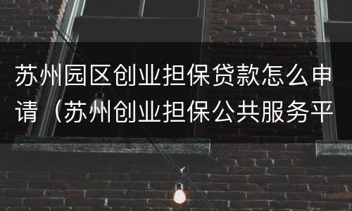 苏州园区创业担保贷款怎么申请（苏州创业担保公共服务平台）