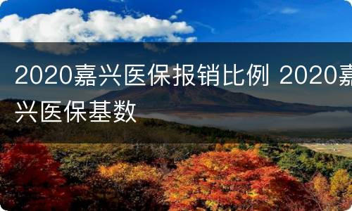 2020嘉兴医保报销比例 2020嘉兴医保基数