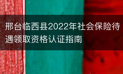 邢台临西县2022年社会保险待遇领取资格认证指南