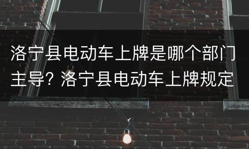 洛宁县电动车上牌是哪个部门主导? 洛宁县电动车上牌规定