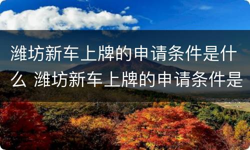 潍坊新车上牌的申请条件是什么 潍坊新车上牌的申请条件是什么呢