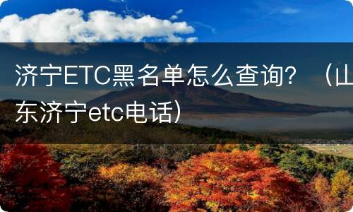 济宁ETC黑名单怎么查询？（山东济宁etc电话）