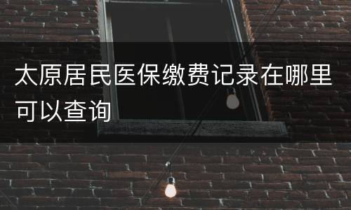 太原居民医保缴费记录在哪里可以查询