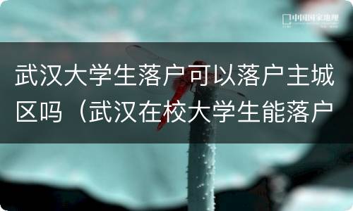 武汉大学生落户可以落户主城区吗（武汉在校大学生能落户吗）
