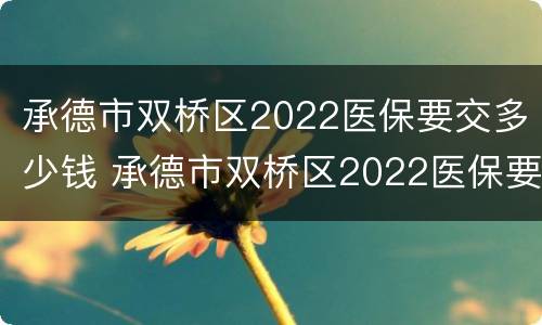 承德市双桥区2022医保要交多少钱 承德市双桥区2022医保要交多少钱呢