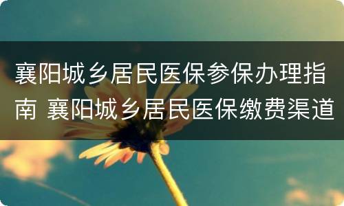 襄阳城乡居民医保参保办理指南 襄阳城乡居民医保缴费渠道