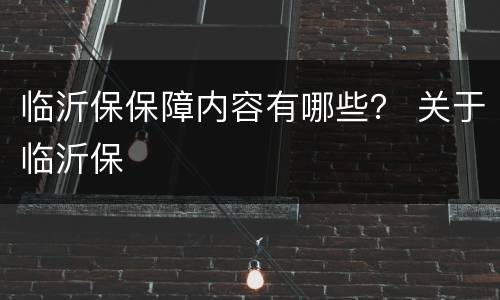 临沂保保障内容有哪些？ 关于临沂保