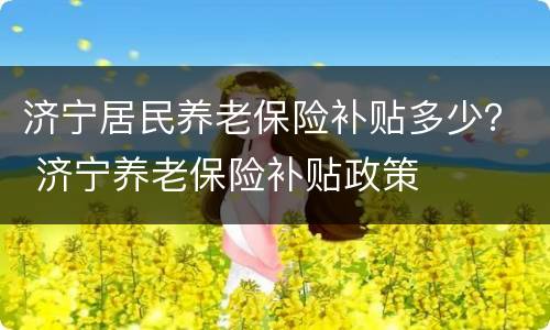 济宁居民养老保险补贴多少？ 济宁养老保险补贴政策