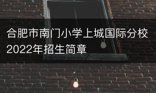 合肥市南门小学上城国际分校2022年招生简章