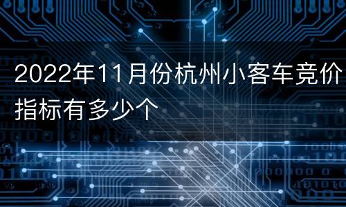 2022年11月份杭州小客车竞价指标有多少个