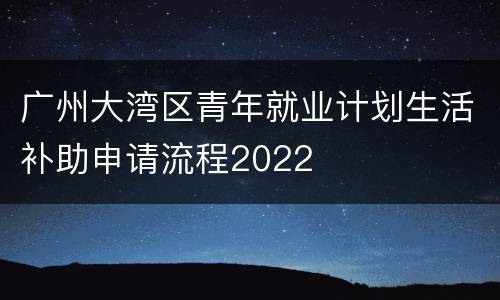 广州大湾区青年就业计划生活补助申请流程2022