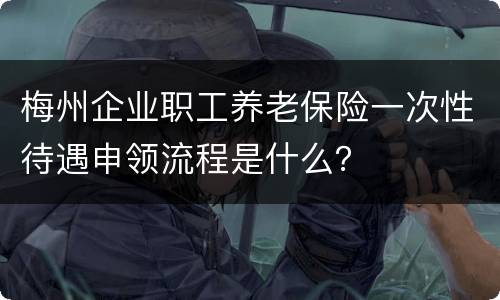 梅州企业职工养老保险一次性待遇申领流程是什么？