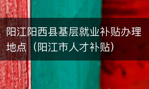阳江阳西县基层就业补贴办理地点（阳江市人才补贴）