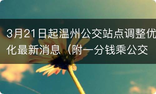 3月21日起温州公交站点调整优化最新消息（附一分钱乘公交优惠）