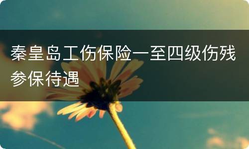 秦皇岛工伤保险一至四级伤残参保待遇