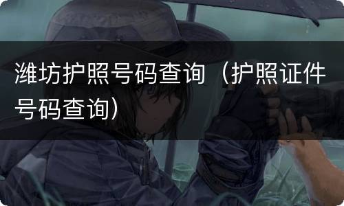 潍坊护照号码查询（护照证件号码查询）