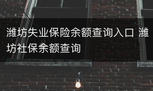 潍坊失业保险余额查询入口 潍坊社保余额查询