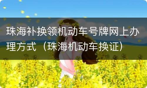 珠海补换领机动车号牌网上办理方式（珠海机动车换证）