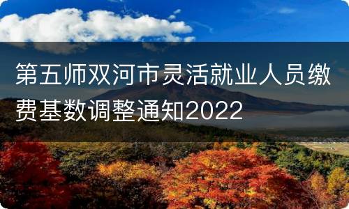 第五师双河市灵活就业人员缴费基数调整通知2022