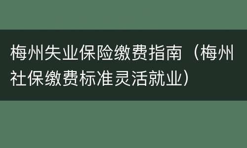 梅州失业保险缴费指南（梅州社保缴费标准灵活就业）