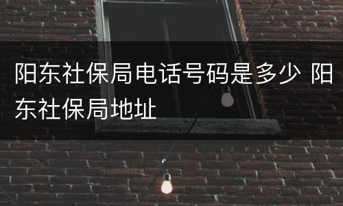 阳东社保局电话号码是多少 阳东社保局地址