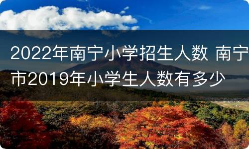 2022年南宁小学招生人数 南宁市2019年小学生人数有多少