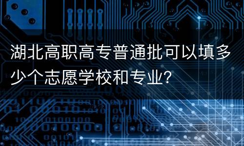 湖北高职高专普通批可以填多少个志愿学校和专业？