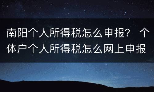 南阳个人所得税怎么申报？ 个体户个人所得税怎么网上申报