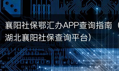襄阳社保鄂汇办APP查询指南（湖北襄阳社保查询平台）