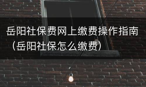 岳阳社保费网上缴费操作指南（岳阳社保怎么缴费）