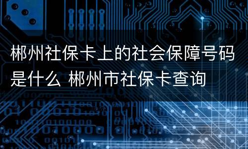 郴州社保卡上的社会保障号码是什么 郴州市社保卡查询