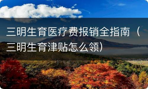 三明生育医疗费报销全指南（三明生育津贴怎么领）