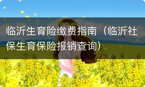 临沂生育险缴费指南（临沂社保生育保险报销查询）