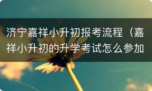 济宁嘉祥小升初报考流程（嘉祥小升初的升学考试怎么参加）