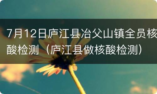 7月12日庐江县冶父山镇全员核酸检测（庐江县做核酸检测）